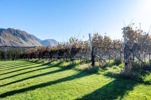 Paesaggio naturale nelle vicinanze dell'appartamento