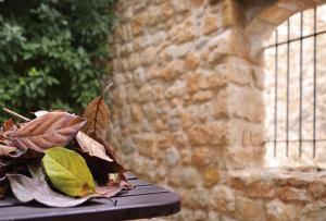 Fotografie z fotogalerie ubytování Espacioso pajar con barbacoa en Casa de las Letras v destinaci Lledó + 28 fotografií