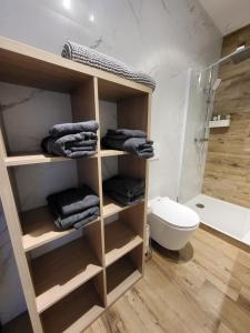 LucingesにあるAppartement Ilenaのバスルーム(シャワー、トイレ、タオル付) +11枚の写真
