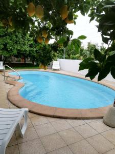 a large swimming pool in a yard with a tree at Casa do Outeirinho in Campos