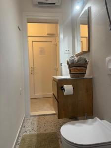 a bathroom with a toilet and a sink and a mirror at Apartman Ema in Opuzen +29 photos