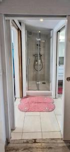 a bathroom with a glass door with a red rug at Chalet in Plouër-sur-Rance +22 photos
