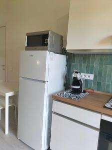 Kuchyň nebo kuchyňský kout v ubytování Lugore Room