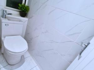 ein weißes Bad mit einem WC und einer Pflanze in der Unterkunft Modern Penge East Apartment in Sydenham + 7 Fotos