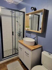 a bathroom with a sink and a glass shower at Pink Galaxy in Baciu +11 photos