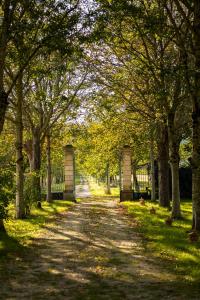 un percorso alberato con due panchine in un parco di Château la Gineste - Castle and Vineyard a Duravel Altre 37 foto