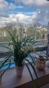 a potted plant sitting on a window sill with a view at Chambre chez l'habitante avec salle de bain et cuisine communes - Présence d'un chat in Bordeaux
