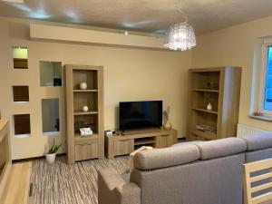 TV a/nebo společenská místnost v ubytování Apartament Moniuszki