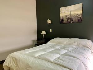 a white bed in a bedroom with a picture on the wall at Joseva 302 in Río Gallegos