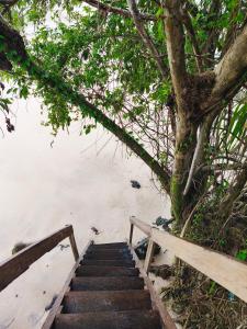 a staircase leading up to a tree next to the water at Luz de Maria in Belém