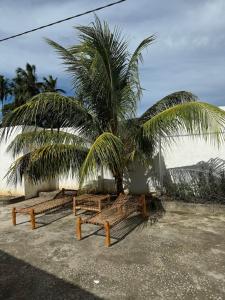 Fotografie z fotogalerie ubytování Palm Hide v destinaci Mtufaani
