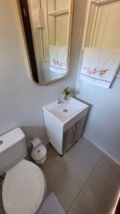 a bathroom with a toilet and a sink and a mirror at Pousada Jardim Encantado - Suítes em Container na cidade do Cristo Protetor - Encantado RS in Encantado
