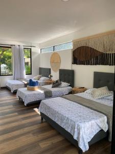 four beds in a room with wooden floors and windows at Hotel Rossé in La Vega +285 photos