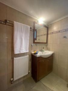 een badkamer met een wastafel en een spiegel bij Joanna's House in Néa Péramos