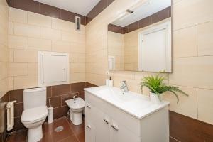 a bathroom with a toilet and a sink and a mirror at Plaza España Superb Views in Madrid +17 photos