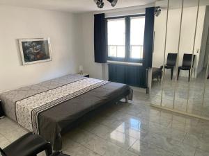 a bedroom with a bed and chairs and a window at Exclusive FWO mit kleinem beheizbarem Pool zum Schwimmen und Massieren in Hausen +24 photos