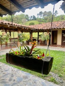 Aed väljaspool majutusasutust Finca de descanso la Rumanía