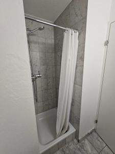 Vannituba majutusasutuses Hotel Surselva