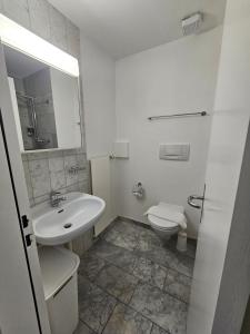 Vannituba majutusasutuses Hotel Surselva