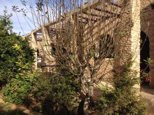Zahrada ubytování Ryad de Vignes " Le Val d'Argan "