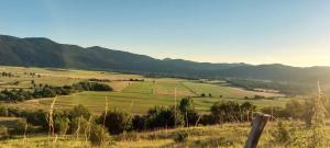 a field of green grass with mountains in the background at Apartman Crljenko in Lič
