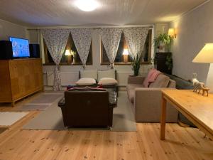 TV a/nebo společenská místnost v ubytování Lakeview Villa