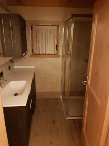 Un pequeño baño con lavabo y ducha. en Casa De Sandre, en San Vito di Cadore