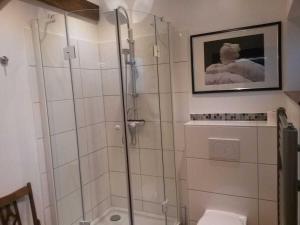 a bathroom with a shower and a toilet at Holiday home Cottage am Rhin in Glückstadt +15 photos