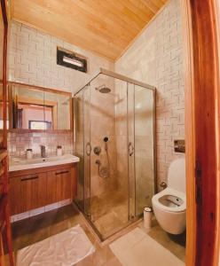 a bathroom with a shower and a toilet and a sink at Black Cat Villa's in Kemer +15 photos