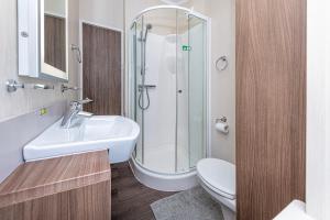 a bathroom with a shower and a sink and a toilet at Stables 30, 3 Bed Luxury Lodge at Hafan y Mor in Pwllheli +54 photos
