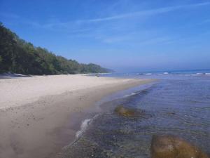 a sandy beach with trees and the ocean at 1-bedroom apartment in Putgarten +9 photos