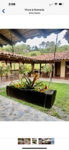 Aed väljaspool majutusasutust Finca de descanso la Rumanía +3 fotot