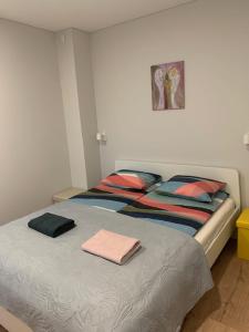 Postel nebo postele na pokoji v ubytování Cozy apartment in Karmelava