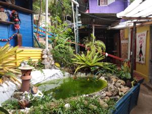 Pousada e Hostel Cantinho dos Chalés外面的花园