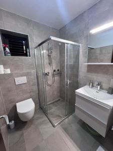 a bathroom with a shower and a toilet and a sink at Beachfront Apartment Mery, Kneže in Račišće