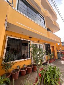 Tòa nhà nơi nhà khách tọa lạc +53 ảnh