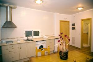 Una cocina con fregadero y lavadora. en Madrigal Iruela, en La Iruela