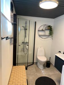 un bagno con wc, doccia e lavandino di Newly renovated cabin near Ål city center, mountains & ski resort a Liagardane Altre 19 foto
