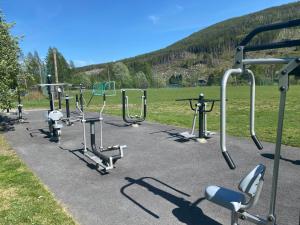 un gruppo di attrezzature sportive in un parco di Newly renovated cabin near Ål city center, mountains & ski resort a Liagardane