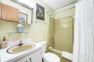 Ένα μπάνιο στο Breathtaking Brevard Home with Screened Porch! +22 φωτογραφίες