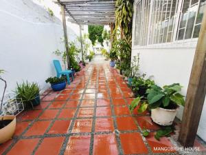Fotografie z fotogalerie ubytování MANGO BiCHE - HOUSE v destinaci Cartagena