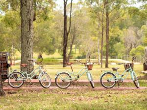 three bikes parked next to a tree in a park at 5 Acre Retreat Jimboomba by Tiny Away in Jimboomba