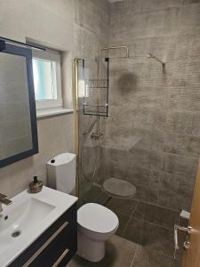 a bathroom with a shower and a toilet and a sink at Seaside house for families with children Cove Nevidjansko Polje, Pasman - 24036 in Neviđane