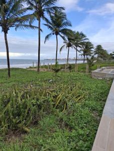 a park with palm trees on the beach at Apt 2 quartos na Beira Mar na praia de Intermares 110 in Nossa Senhora do Livramento