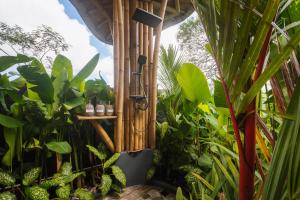 Zahrada ubytování Punduk Villa - The Manta