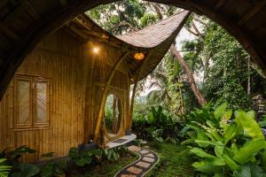 Zahrada ubytování Punduk Villa - The Manta + 28 fotografií