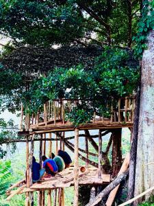 Zahrada ubytování AVA tree house