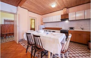 Kuchyňa alebo kuchynka v ubytovaní 3 Bedroom Lovely Apartment In Labin