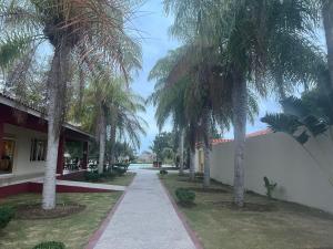 a walkway with palm trees in front of a building at Hermoso Apartamento con Jacuzzi Privado in Punta Cana