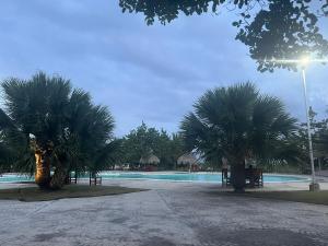 a swimming pool with palm trees and a light pole at Hermoso Apartamento con Jacuzzi Privado in Punta Cana